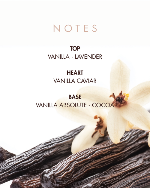 VANILLA GRACE EDP 100ML / 3.38 oz